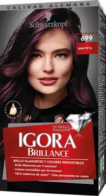 IGORA BRILLANCE KIT 699
