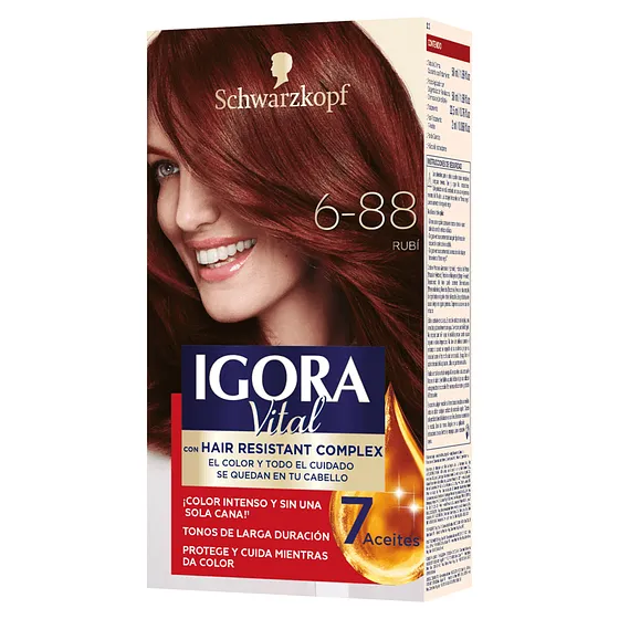 IGORA VITAL KIT 6-88