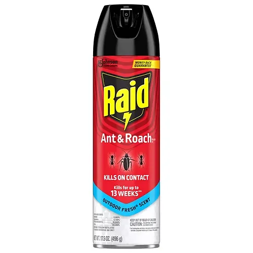 RAID ANT & ROACH OUTDOOR FRESH 12OZ