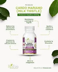 BIO EVA MILK THISTLE 500MG