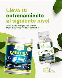 BIO EVA CREATINA 500MG