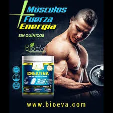 BIO EVA CREATINA POLVO 454G