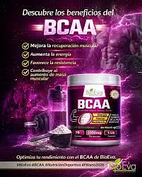 BIOEVA BCAA POLVO 1LB