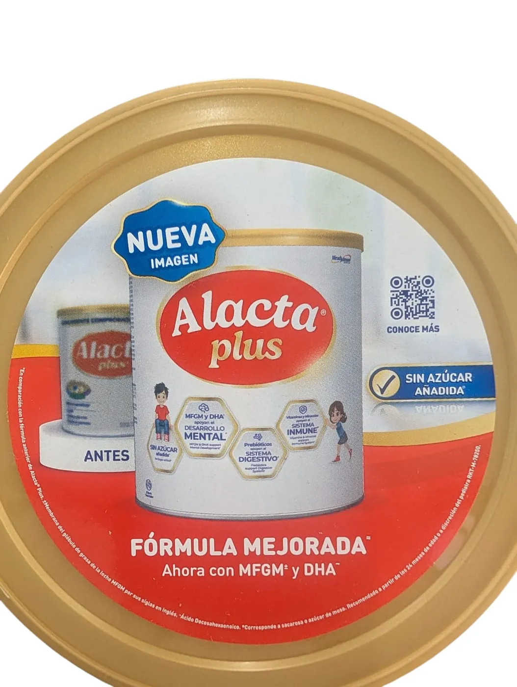 ALACTA PLUS LATA 375G