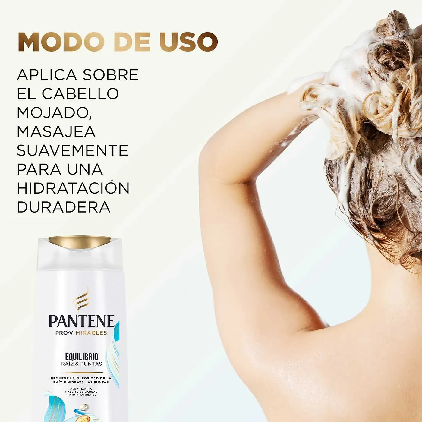 PANTENE SH EQUILIBRIO 300ML