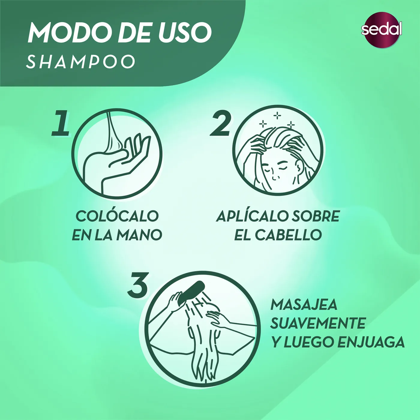 SEDAL SHAMPOO RIZOS DEFINIDOS 340ML