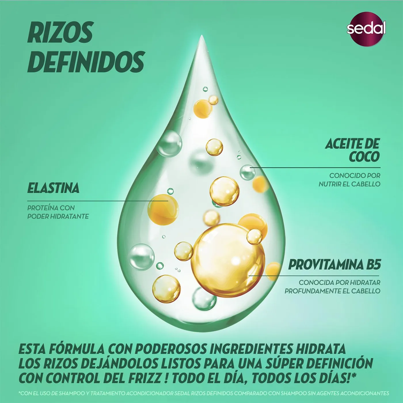 SEDAL SHAMPOO RIZOS DEFINIDOS 340ML