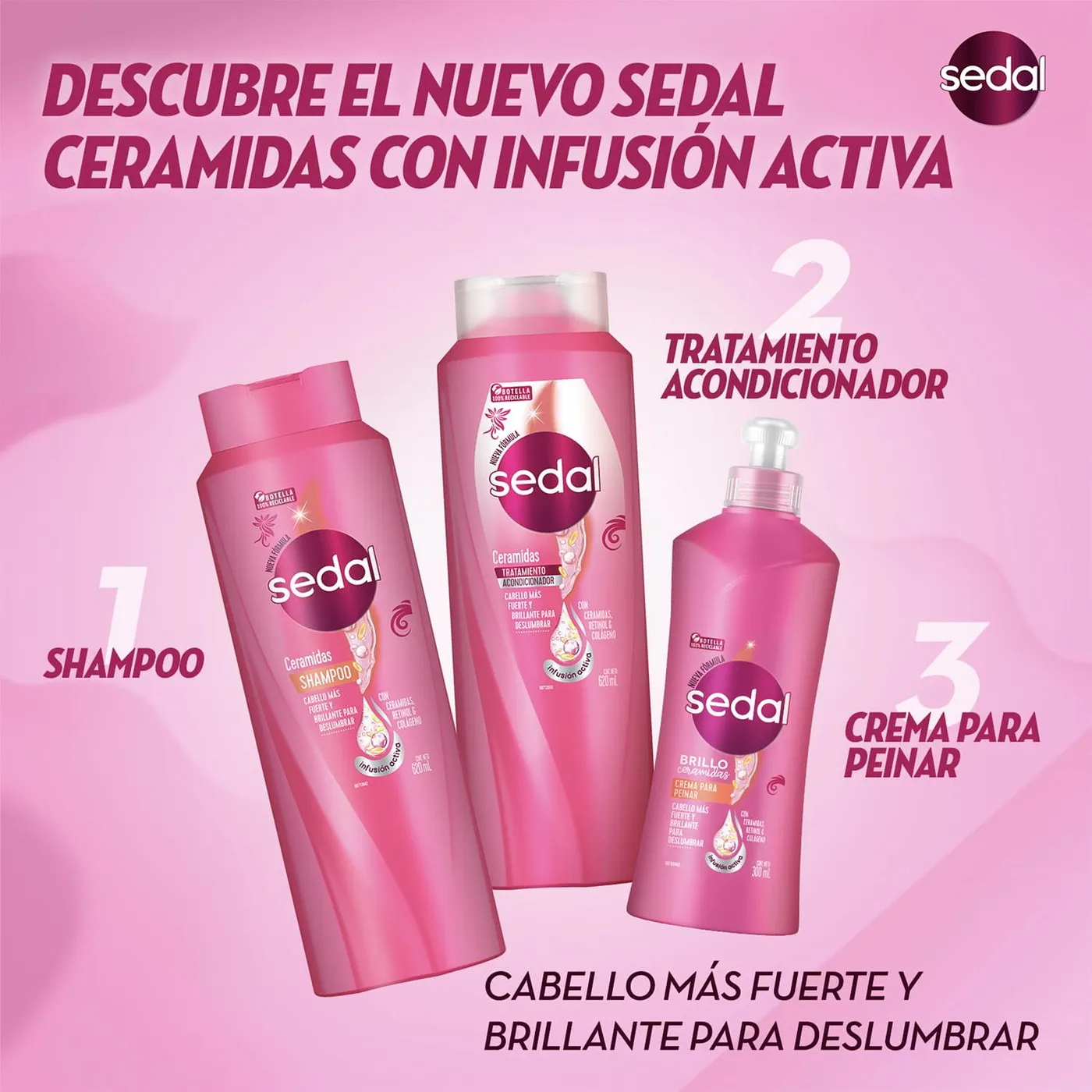SEDAL SHAMPOO CERAMIDAS 340ML