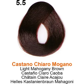 TOUJOURS COLOR 5.5 3.38oz