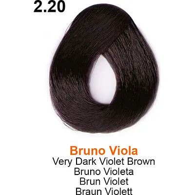 TOUJOURS COLOR 2.20 3.38oz