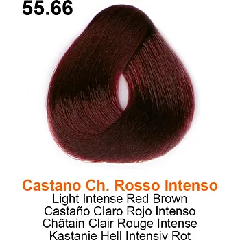 TOUJOURS COLOR 55.66 3.38oz