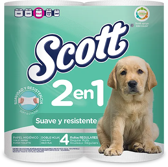 PAPEL SCOTT 2EN1 REGULAR 4/1